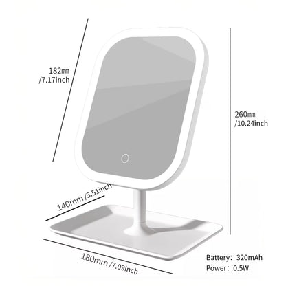 LED Travel Makeup Mirror