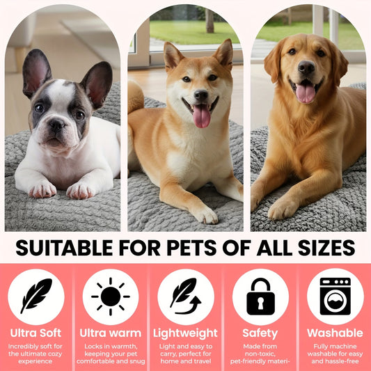 Extra Large Plush Dog Bed with Pillow & Raised Edges